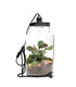 Lampada con calathea