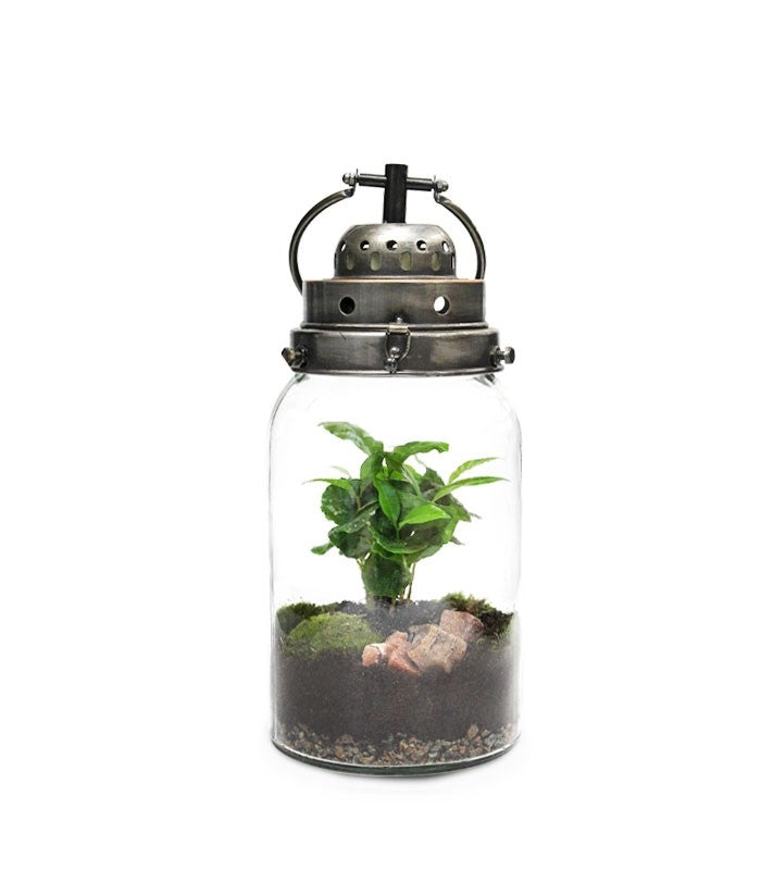 Lanterna terrarium con led