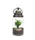 Lanterna terrarium con led