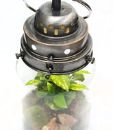 Lanterna terrarium con led