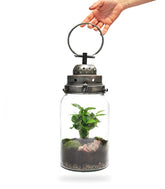 Lanterna terrarium con led