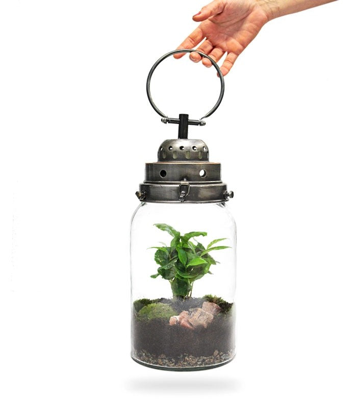 Lanterna terrarium con led