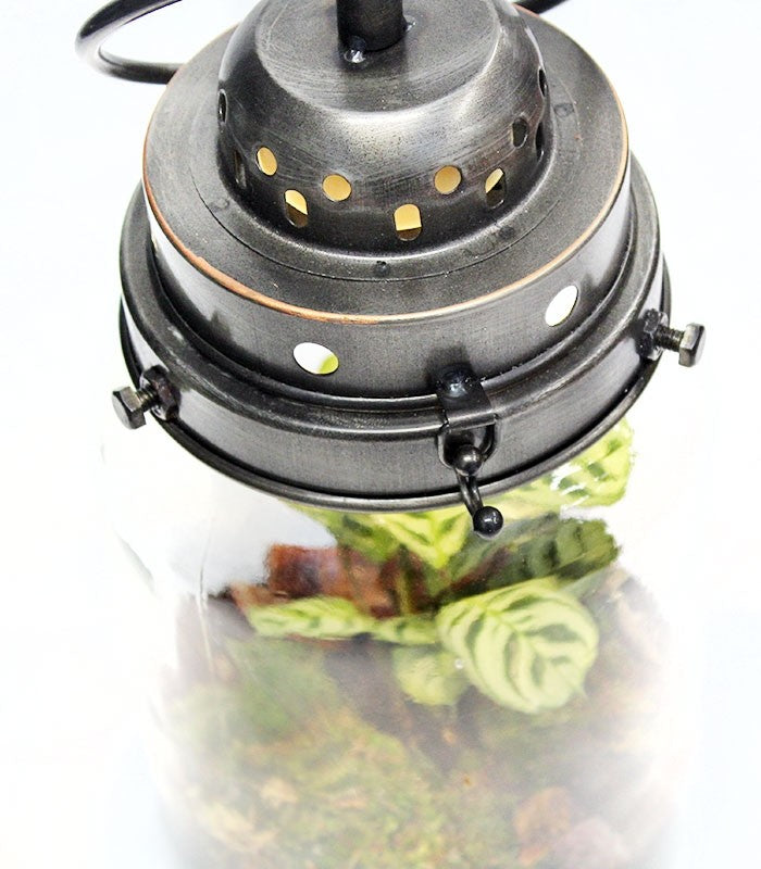 Lanterna terrarium con led
