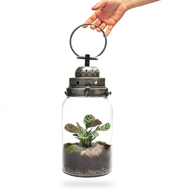 Lanterna terrarium con led