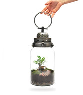 Lanterna terrarium con led