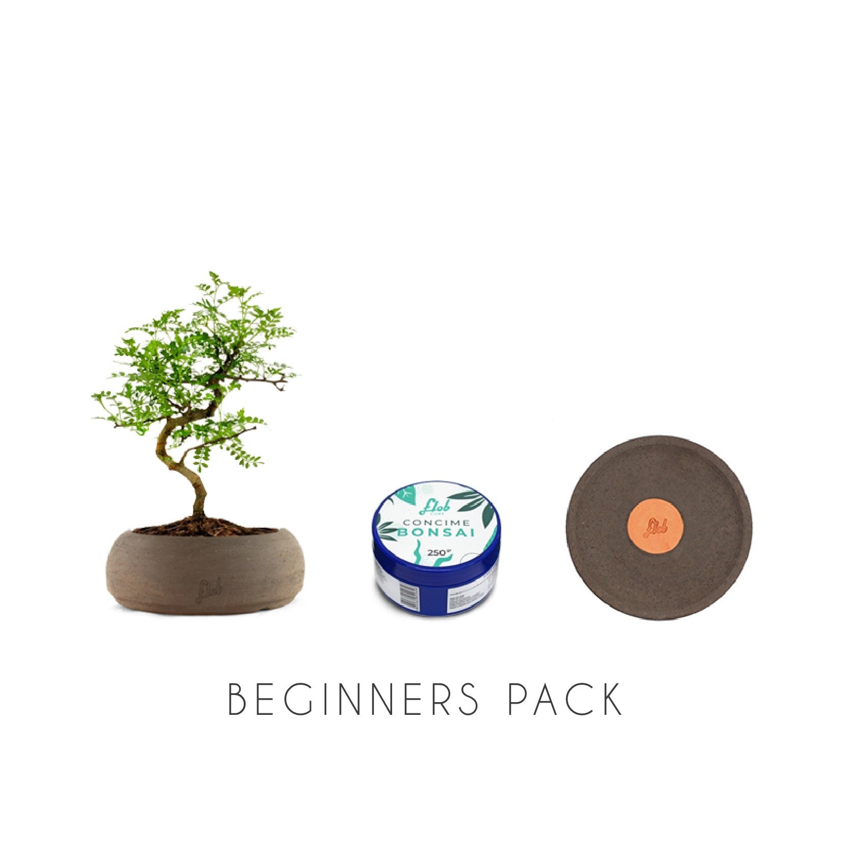 Beginners pack