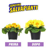 Concime salvapiante universale100g
