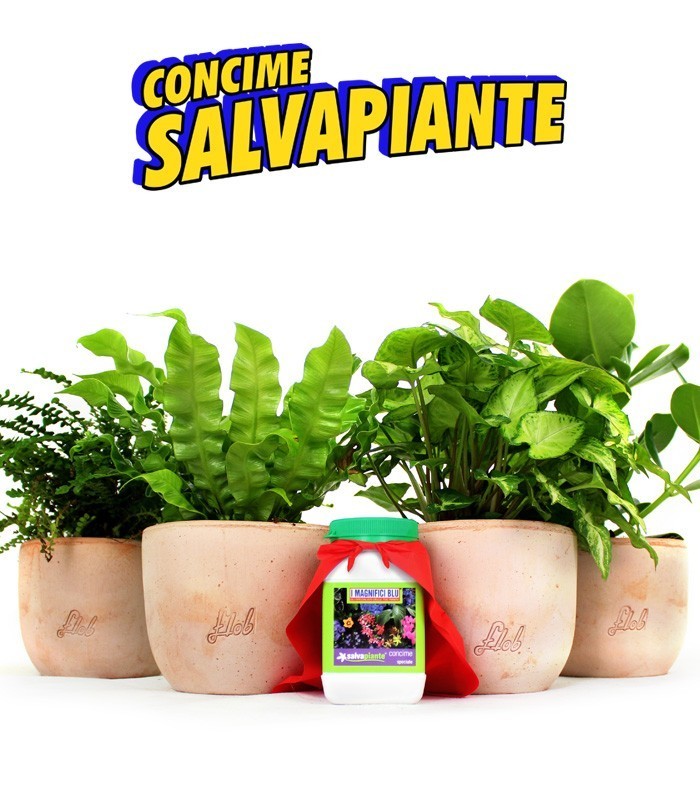 Concime salvapiante universale100g