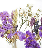 Fiori essiccati | secchi duo