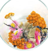 Fiori essiccati | secchi in barattolo di vetro