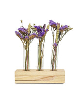 Fiori essiccati tris