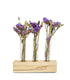 Fiori essiccati tris