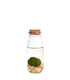 Marimo in vetro Single