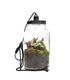 Lampada terrarium con Fittonia