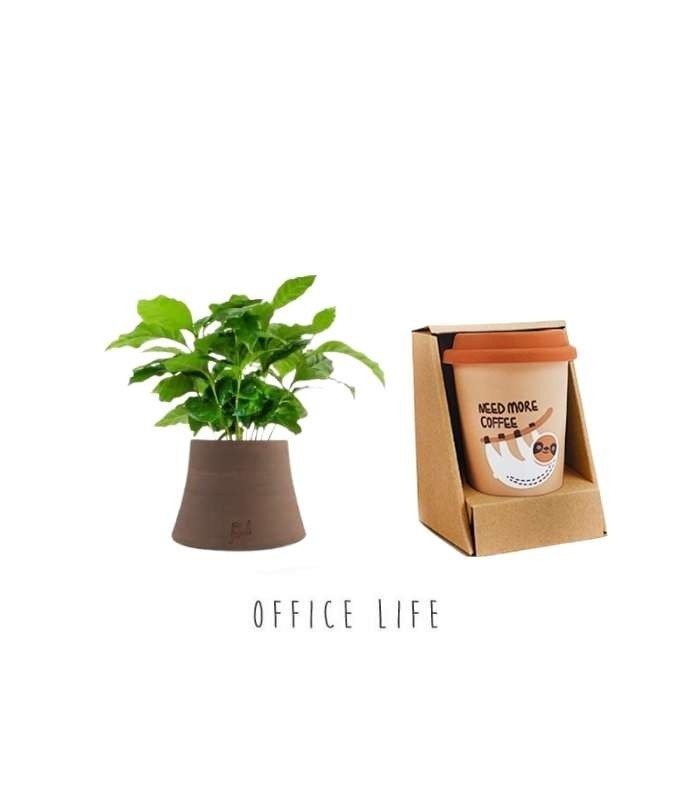 Office Pack