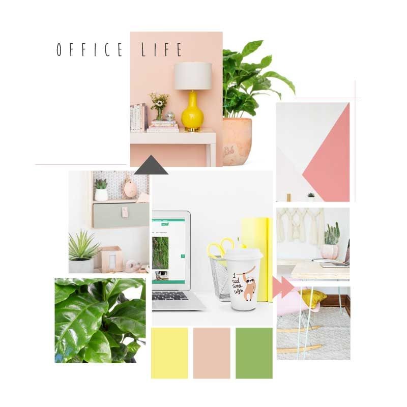 Office Pack