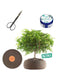 Super Pepe Bonsai Kit