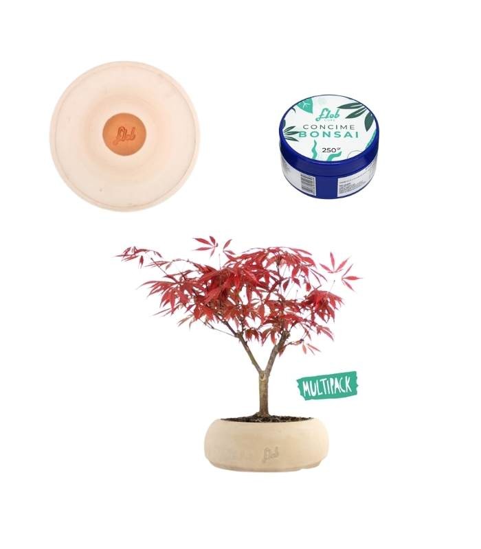 Acero rosso Kit