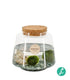 Marimo in vetro 13x20 cm