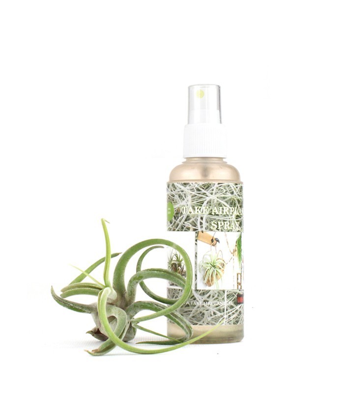 Tillandsia Spray