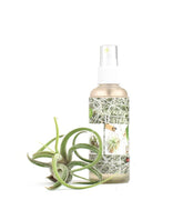 Tillandsia Spray