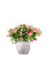 Azalea