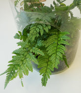 Terrarium in bottiglia con Felce