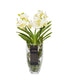 Orchidea Vanda in vaso di vetro