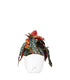 Begonia Maculata Wightii vaso 14
