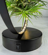 Tillandsia circolare led nero
