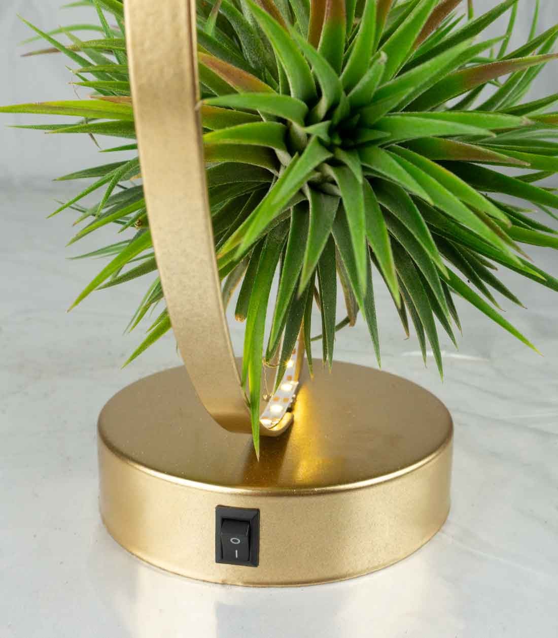 Tillandsia circolare led oro