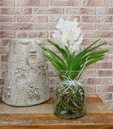 Orchidea Vanda