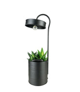 Succulente con lampada di design Nero