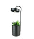 Succulente con lampada di design Nero