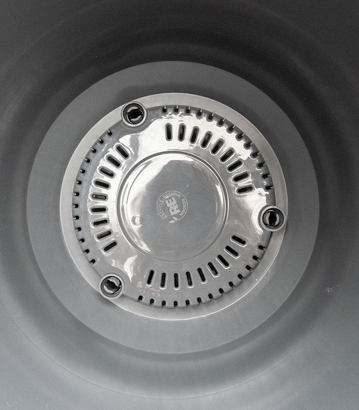 Polyscias scutellaria | fabian