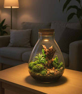 Terrario LED con mix di piante