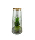 Kokedama in terrario