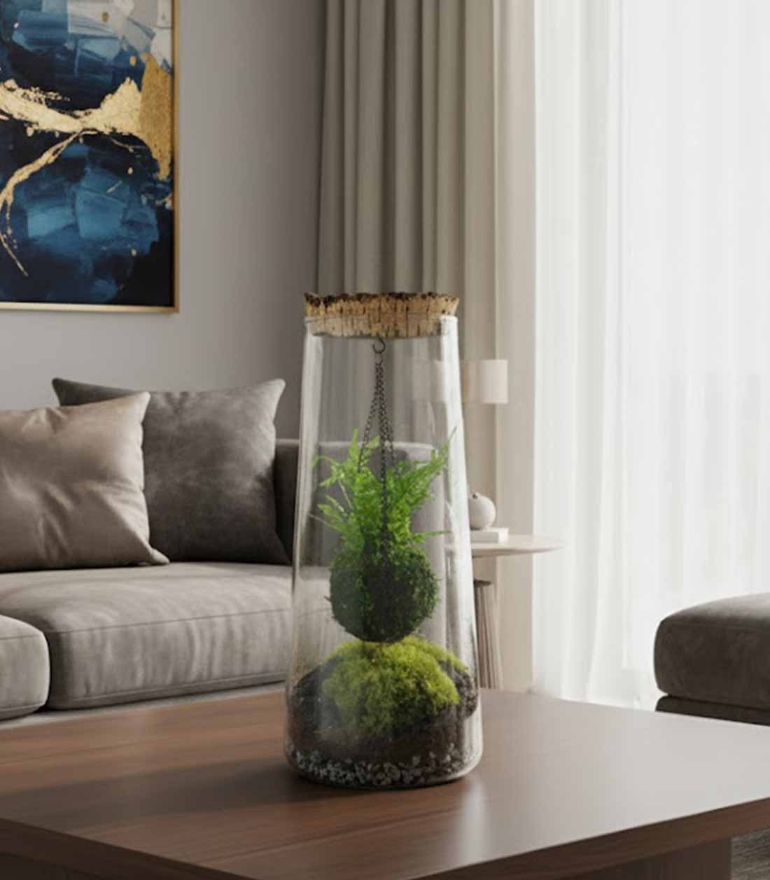 Kokedama in terrario