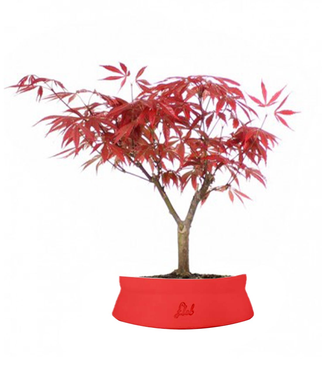 Acero Rosso
