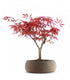 Acero Rosso