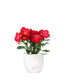 Rosa del deserto rossa