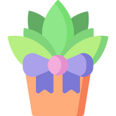 wrapin