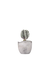 Astrophytum myrostigma cv. Hanakago