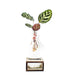 Calathea idroponica con supporto in legno