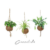 Cocco Life Pack