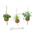 Cocco Life Pack