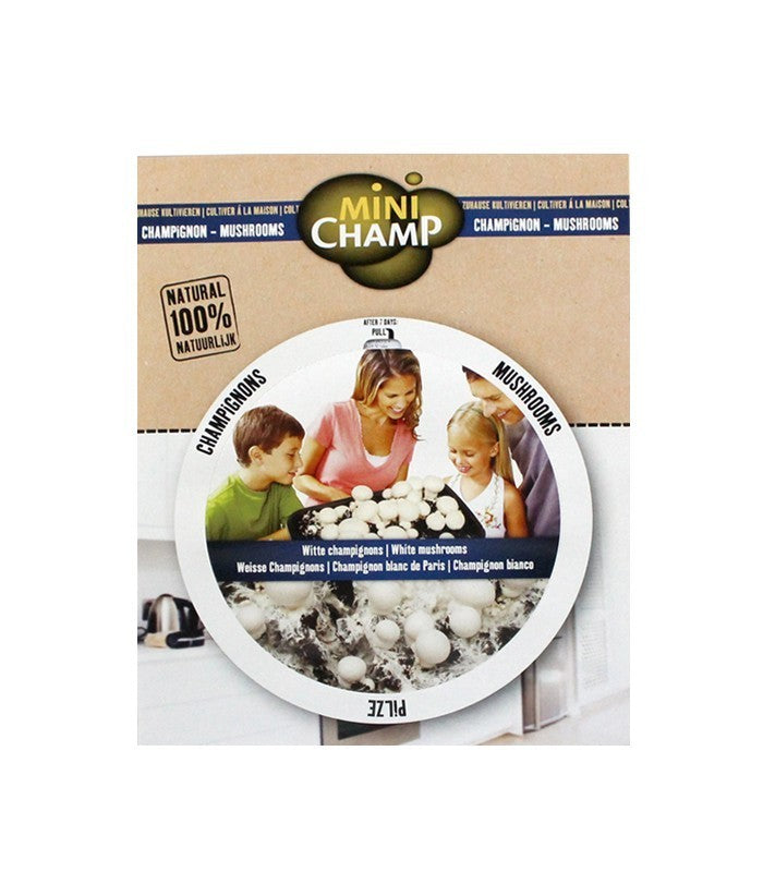Kit fungo champignons