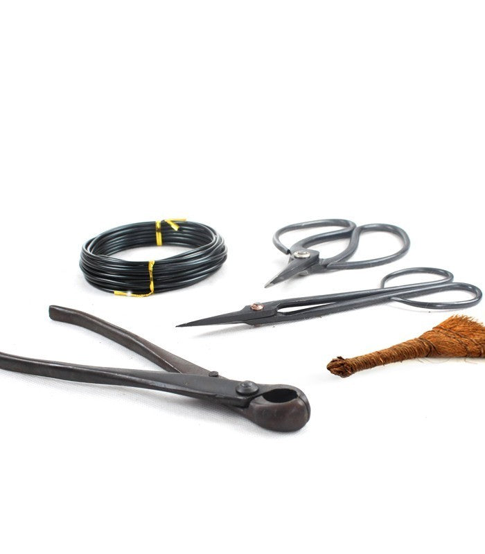 Kit utensili bonsai