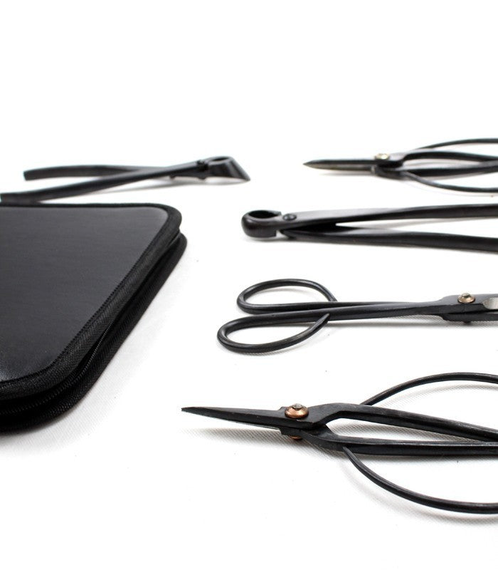 Kit utensili bonsai con astuccio