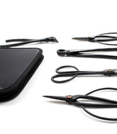 Kit utensili bonsai con astuccio